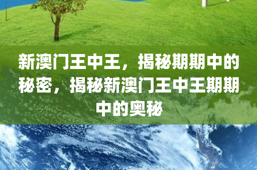 新澳门王中王，揭秘期期中的秘密，揭秘新澳门王中王期期中的奥秘