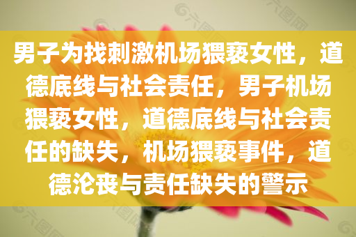 男子为找刺激机场猥亵女性，道德底线与社会责任，男子机场猥亵女性，道德底线与社会责任的缺失，机场猥亵事件，道德沦丧与责任缺失的警示