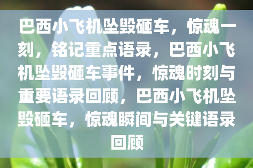 巴西小飞机坠毁砸车，惊魂一刻，铭记重点语录，巴西小飞机坠毁砸车事件，惊魂时刻与重要语录回顾，巴西小飞机坠毁砸车，惊魂瞬间与关键语录回顾