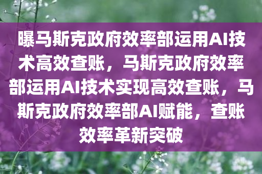 曝马斯克政府效率部运用AI技术高效查账，马斯克政府效率部运用AI技术实现高效查账，马斯克政府效率部AI赋能，查账效率革新突破