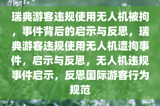 瑞典游客违规使用无人机被拘，事件背后的启示与反思，瑞典游客违规使用无人机遭拘事件，启示与反思，无人机违规事件启示，反思国际游客行为规范