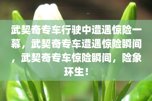 武契奇专车行驶中遭遇惊险一幕，武契奇专车遭遇惊险瞬间，武契奇专车惊险瞬间，险象环生！