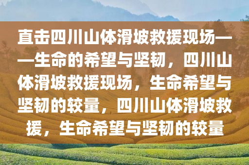 直击四川山体滑坡救援现场——生命的希望与坚韧，四川山体滑坡救援现场，生命希望与坚韧的较量，四川山体滑坡救援，生命希望与坚韧的较量