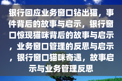 银行回应业务窗口钻出猫，事件背后的故事与启示，银行窗口惊现猫咪背后的故事与启示，业务窗口管理的反思与启示，银行窗口猫咪奇遇，故事启示与业务管理反思