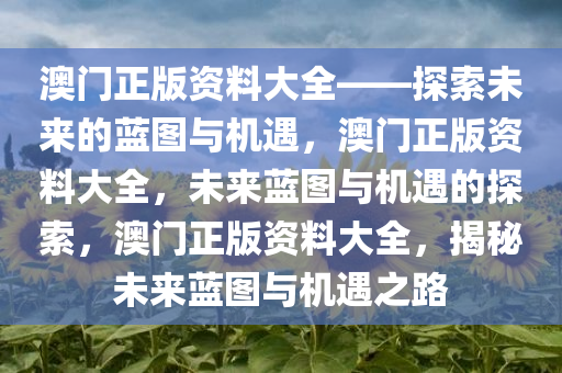 澳门正版资料大全——探索未来的蓝图与机遇，澳门正版资料大全，未来蓝图与机遇的探索，澳门正版资料大全，揭秘未来蓝图与机遇之路