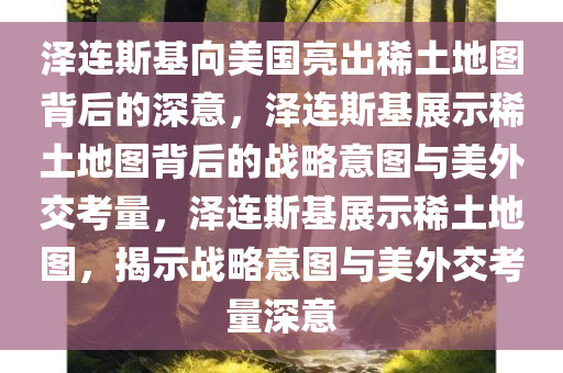 泽连斯基向美国亮出稀土地图背后的深意，泽连斯基展示稀土地图背后的战略意图与美外交考量，泽连斯基展示稀土地图，揭示战略意图与美外交考量深意