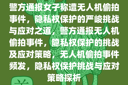 警方通报女子称遭无人机偷拍事件，隐私权保护的严峻挑战与应对之道，警方通报无人机偷拍事件，隐私权保护的挑战及应对策略，无人机偷拍事件频发，隐私权保护挑战与应对策略探析