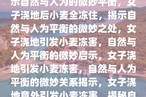 女子浇地隔天小麦全冻住，揭示自然与人为的微妙平衡，女子浇地后小麦全冻住，揭示自然与人为平衡的微妙之处，女子浇地引发小麦冻害，自然与人为平衡的微妙启示，女子浇地引发小麦冻害，自然与人为平衡的微妙关系揭示，女子浇地意外引发小麦冻害，揭秘自然与人为平衡的微妙关系