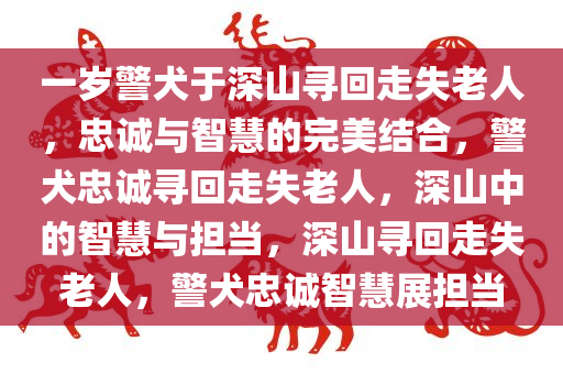 一岁警犬于深山寻回走失老人，忠诚与智慧的完美结合，警犬忠诚寻回走失老人，深山中的智慧与担当，深山寻回走失老人，警犬忠诚智慧展担当