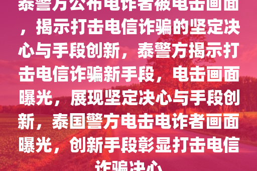 泰警方公布电诈者被电击画面，揭示打击电信诈骗的坚定决心与手段创新，泰警方揭示打击电信诈骗新手段，电击画面曝光，展现坚定决心与手段创新，泰国警方电击电诈者画面曝光，创新手段彰显打击电信诈骗决心