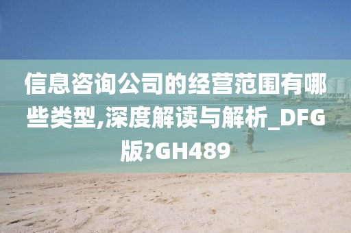 信息咨询公司的经营范围有哪些类型,深度解读与解析_DFG版?GH489