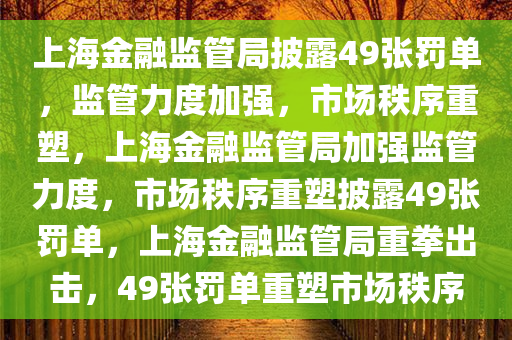 上海金融监管局披露49张罚单，监管力度加强，市场秩序重塑，上海金融监管局加强监管力度，市场秩序重塑披露49张罚单，上海金融监管局重拳出击，49张罚单重塑市场秩序