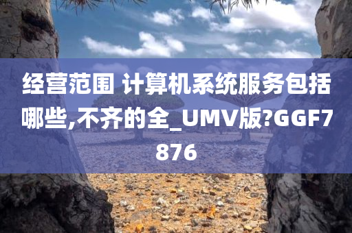 经营范围 计算机系统服务包括哪些,不齐的全_UMV版?GGF7876