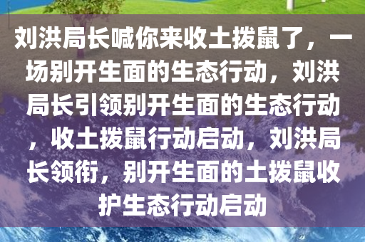 2025年2月10日 第27页