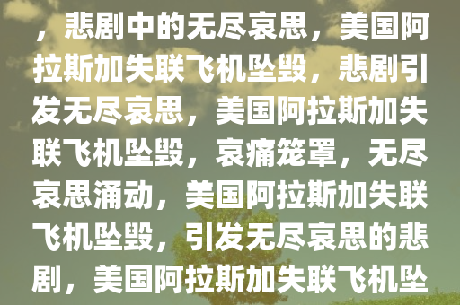 美国阿拉斯加失联飞机已坠毁，悲剧中的无尽哀思，美国阿拉斯加失联飞机坠毁，悲剧引发无尽哀思，美国阿拉斯加失联飞机坠毁，哀痛笼罩，无尽哀思涌动，美国阿拉斯加失联飞机坠毁，引发无尽哀思的悲剧，美国阿拉斯加失联飞机坠毁，哀痛笼罩，无尽哀思涌动