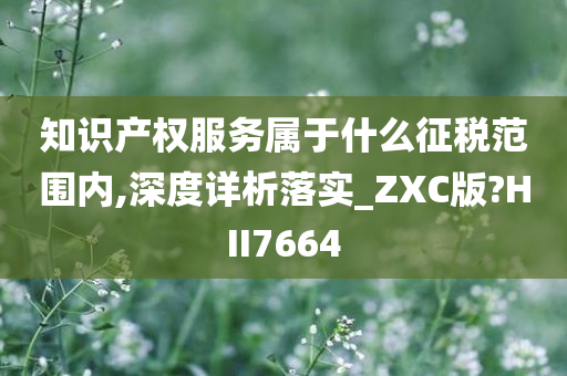 知识产权服务属于什么征税范围内,深度详析落实_ZXC版?HII7664