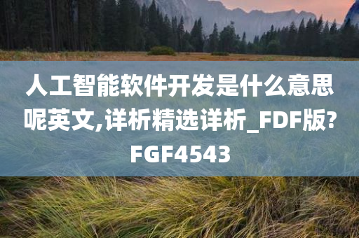 人工智能软件开发是什么意思呢英文,详析精选详析_FDF版?FGF4543