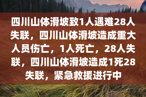 四川山体滑坡致1人遇难28人失联，四川山体滑坡造成重大人员伤亡，1人死亡，28人失联，四川山体滑坡造成1死28失联，紧急救援进行中