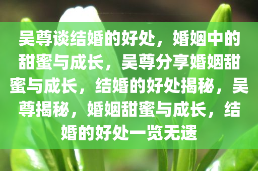 吴尊谈结婚的好处，婚姻中的甜蜜与成长，吴尊分享婚姻甜蜜与成长，结婚的好处揭秘，吴尊揭秘，婚姻甜蜜与成长，结婚的好处一览无遗