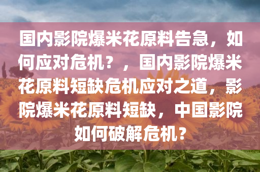 国内影院爆米花原料告急，如何应对危机？，国内影院爆米花原料短缺危机应对之道，影院爆米花原料短缺，中国影院如何破解危机？