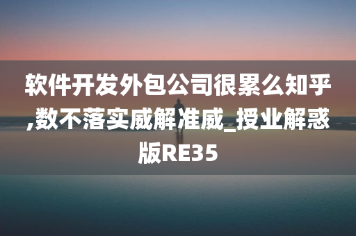 软件开发外包公司很累么知乎,数不落实威解准威_授业解惑版RE35