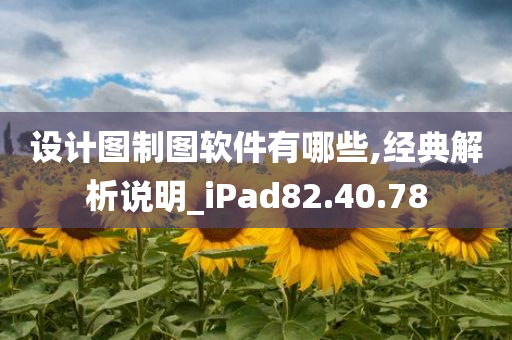 设计图制图软件有哪些,经典解析说明_iPad82.40.78