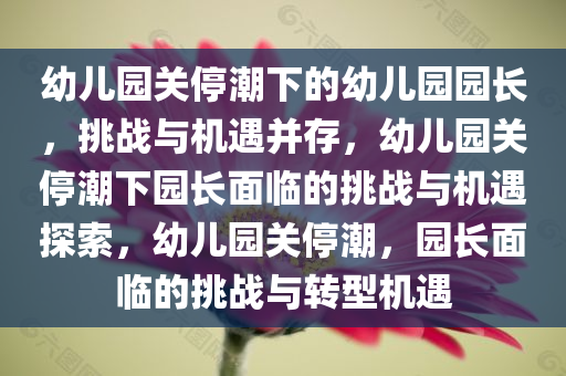 幼儿园关停潮下的幼儿园园长，挑战与机遇并存，幼儿园关停潮下园长面临的挑战与机遇探索，幼儿园关停潮，园长面临的挑战与转型机遇