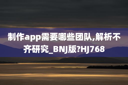 制作app需要哪些团队,解析不齐研究_BNJ版?HJ768