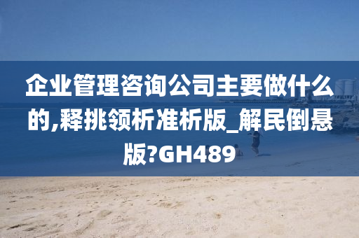 企业管理咨询公司主要做什么的,释挑领析准析版_解民倒悬版?GH489