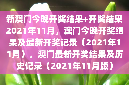 新澳门今晚开奖结果+开奖结果2021年11月，澳门今晚开奖结果及最新开奖记录（2021年11月），澳门最新开奖结果及历史记录（2021年11月版）