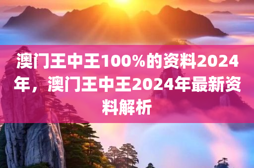 澳门王中王100%的资料2024年，澳门王中王2024年最新资料解析