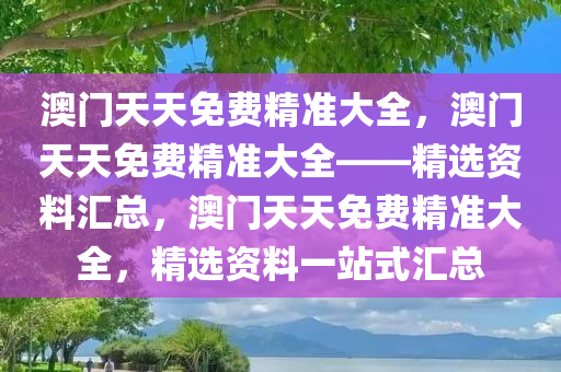 澳门天天免费精准大全，澳门天天免费精准大全——精选资料汇总，澳门天天免费精准大全，精选资料一站式汇总