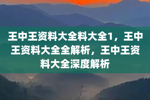 王中王资料大全料大全1，王中王资料大全全解析，王中王资料大全深度解析