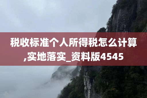 税收标准个人所得税怎么计算,实地落实_资料版4545