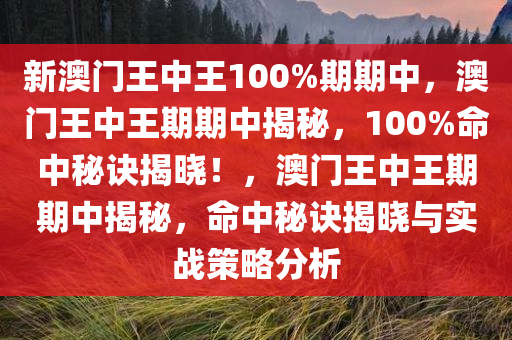 新澳门王中王100%期期中，澳门王中王期期中揭秘，100%命中秘诀揭晓！