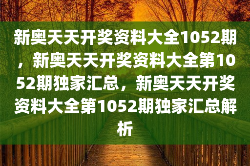 新奥天天开奖资料大全1052期，新奥天天开奖资料大全第1052期独家汇总，新奥天天开奖资料大全第1052期独家汇总解析