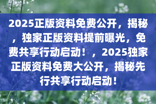 2025正版资料免费公开，揭秘，独家正版资料提前曝光，免费共享行动启动！，2025独家正版资料免费大公开，揭秘先行共享行动启动！