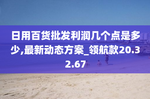 日用百货批发利润几个点是多少,最新动态方案_领航款20.32.67