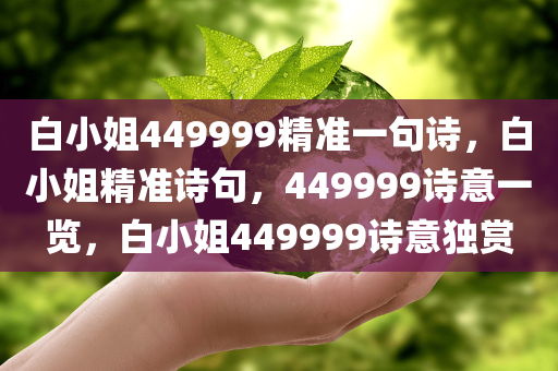 白小姐449999精准一句诗，白小姐精准诗句，449999诗意一览，白小姐449999诗意独赏