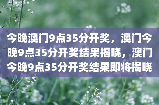 今晚澳门9点35分开奖，澳门今晚9点35分开奖结果揭晓，澳门今晚9点35分开奖结果即将揭晓