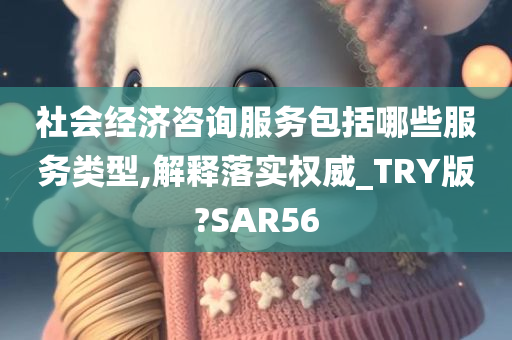 社会经济咨询服务包括哪些服务类型,解释落实权威_TRY版?SAR56