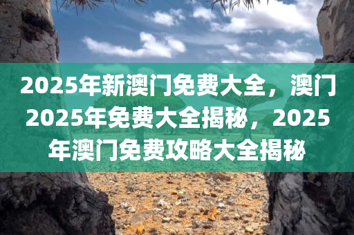 2025年新澳门免费大全，澳门2025年免费大全揭秘，2025年澳门免费攻略大全揭秘