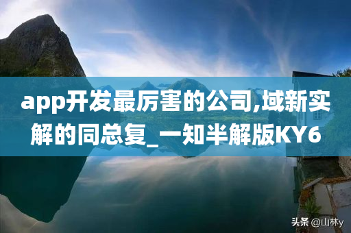 app开发最厉害的公司,域新实解的同总复_一知半解版KY6