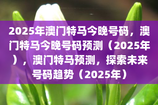 2025年澳门特马今晚号码