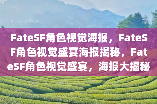 FateSF角色视觉海报，F(xiàn)ateSF角色视觉盛宴海报揭秘，F(xiàn)ateSF角色视觉盛宴，海报大揭秘