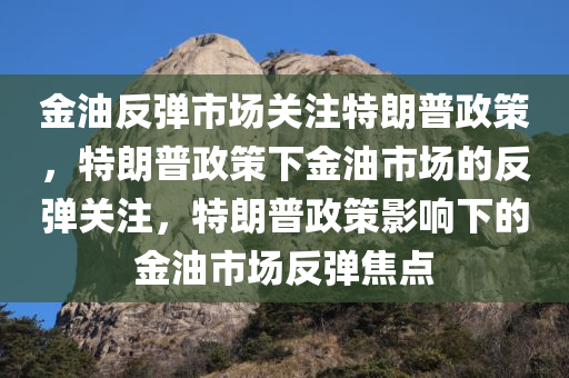 金油反弹市场关注特朗普政策，特朗普政策下金油市场的反弹关注，特朗普政策影响下的金油市场反弹焦点