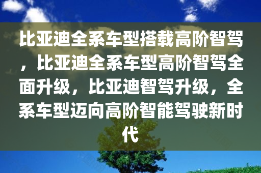 比亚迪全系车型搭载高阶智驾，比亚迪全系车型高阶智驾全面升级，比亚迪智驾升级，全系车型迈向高阶智能驾驶新时代