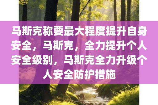 马斯克称要最大程度提升自身安全，马斯克，全力提升个人安全级别，马斯克全力升级个人安全防护措施