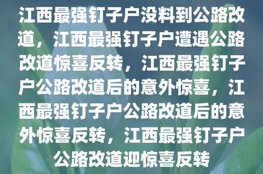 江西最强钉子户没料到公路改道，江西最强钉子户遭遇公路改道惊喜反转，江西最强钉子户公路改道后的意外惊喜，江西最强钉子户公路改道后的意外惊喜反转，江西最强钉子户公路改道迎惊喜反转