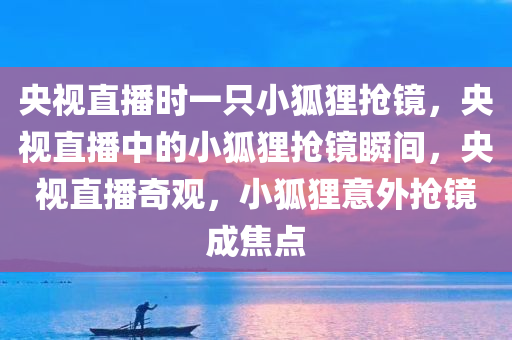 央视直播时一只小狐狸抢镜，央视直播中的小狐狸抢镜瞬间，央视直播奇观，小狐狸意外抢镜成焦点